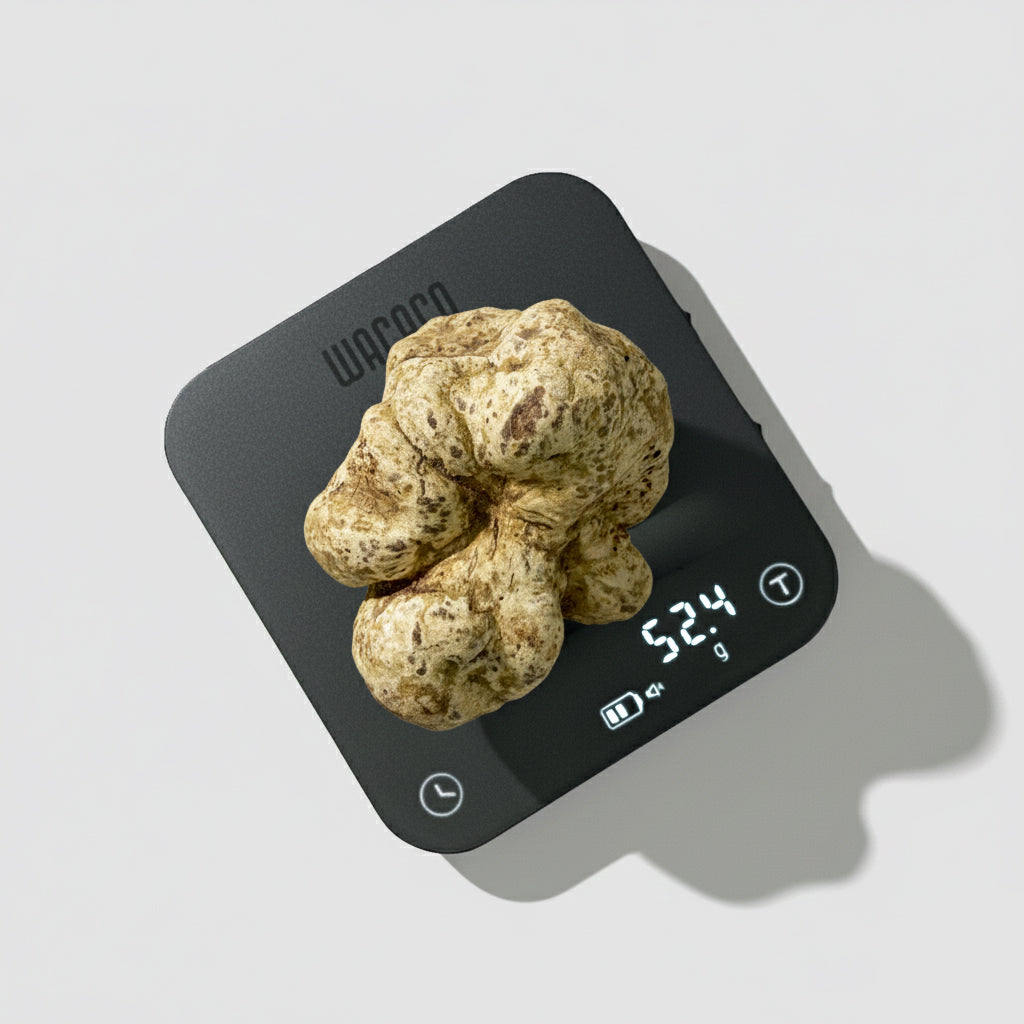 Tartufo Bianco d'Alba - 52 Grammi