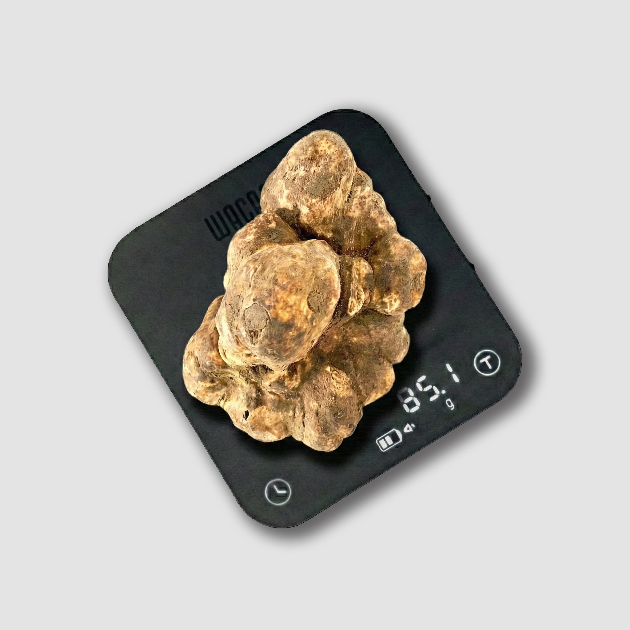 Tartufo Bianco d'Alba - 85 Grammi