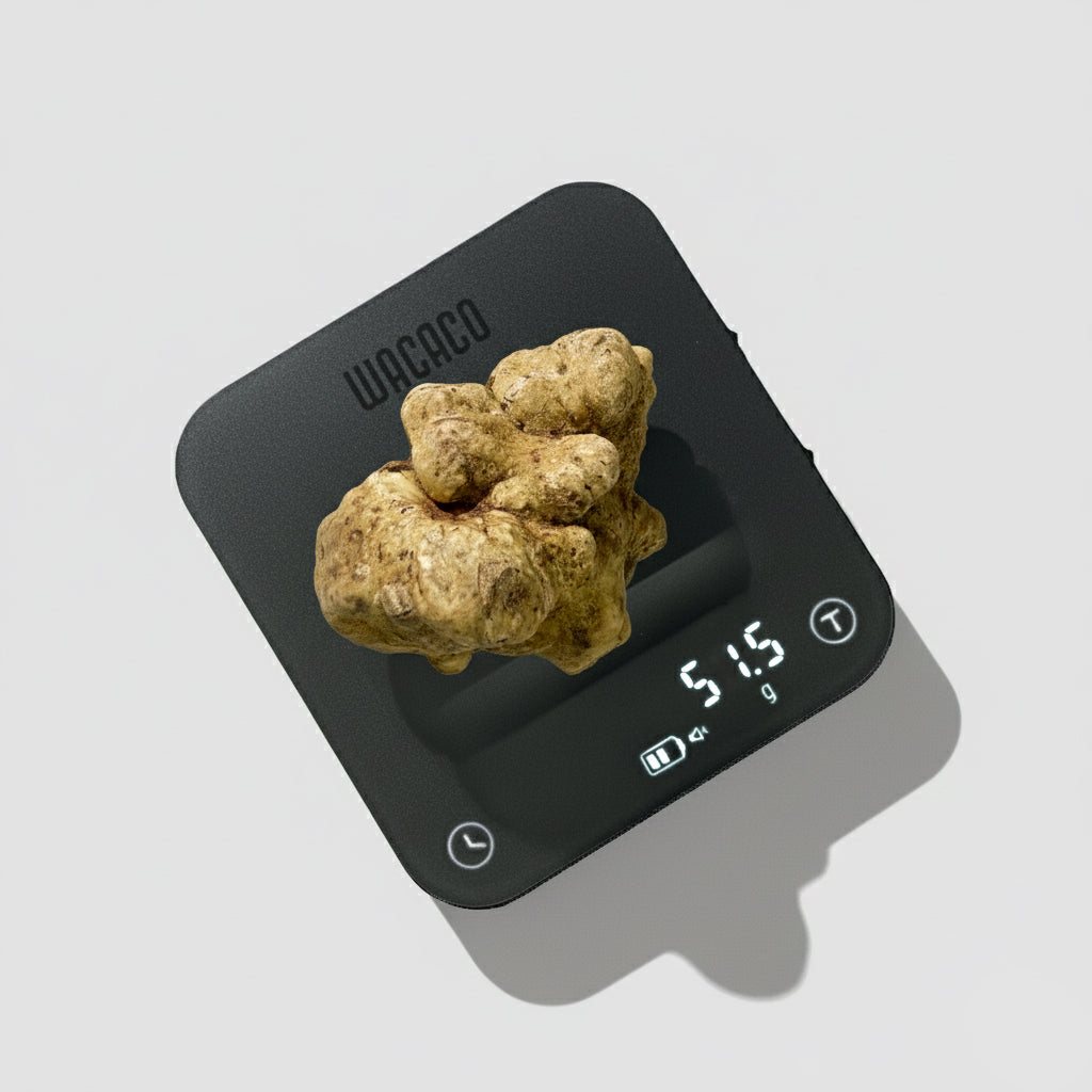 Tartufo Bianco d'Alba - 51 Grammi