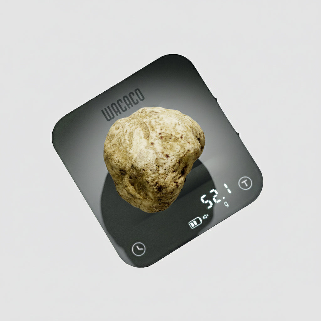 Tartufo Bianco d'Alba - 52 Grammi