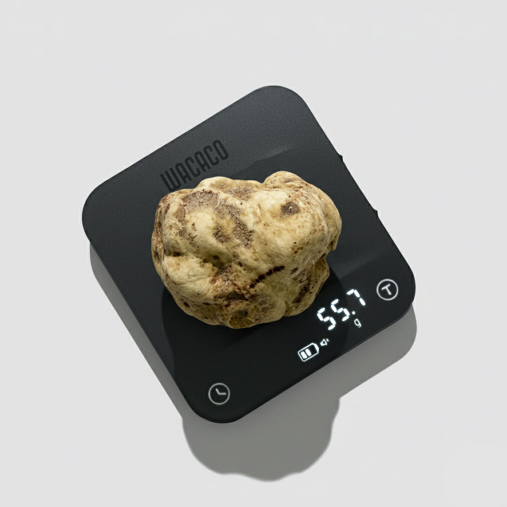 Tartufo Bianco d'Alba - 55 Grammi