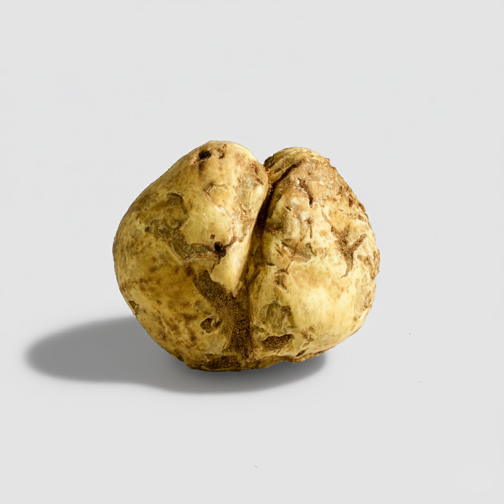 Tartufo Bianco d'Alba - Pezzatura 20/60 g