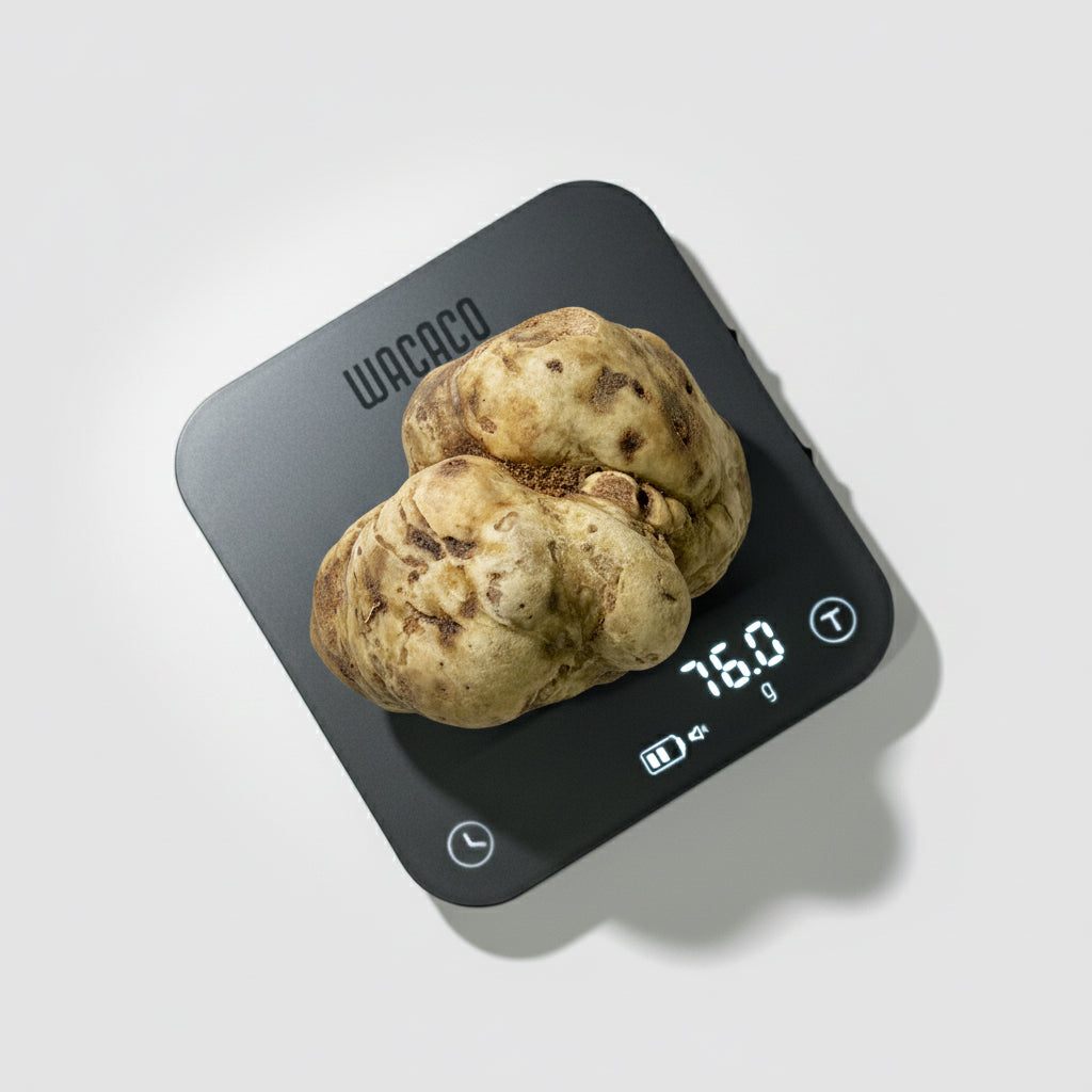 Tartufo Bianco d'Alba - 76 Grammi