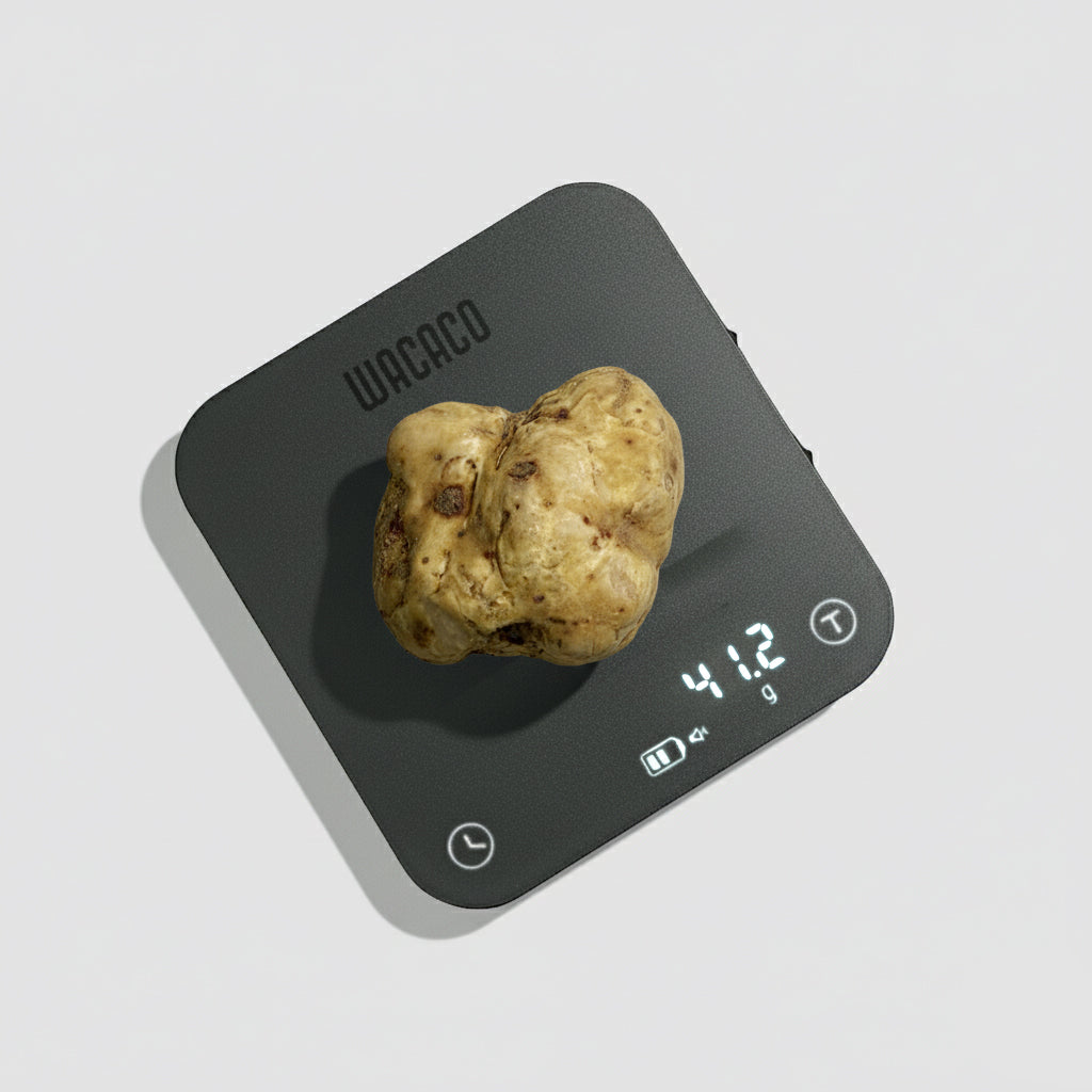 Tartufo Bianco d'Alba - 41 Grammi