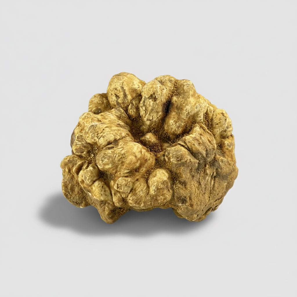 Tajarin, Burro e Tartufo Bianco 10/20 g