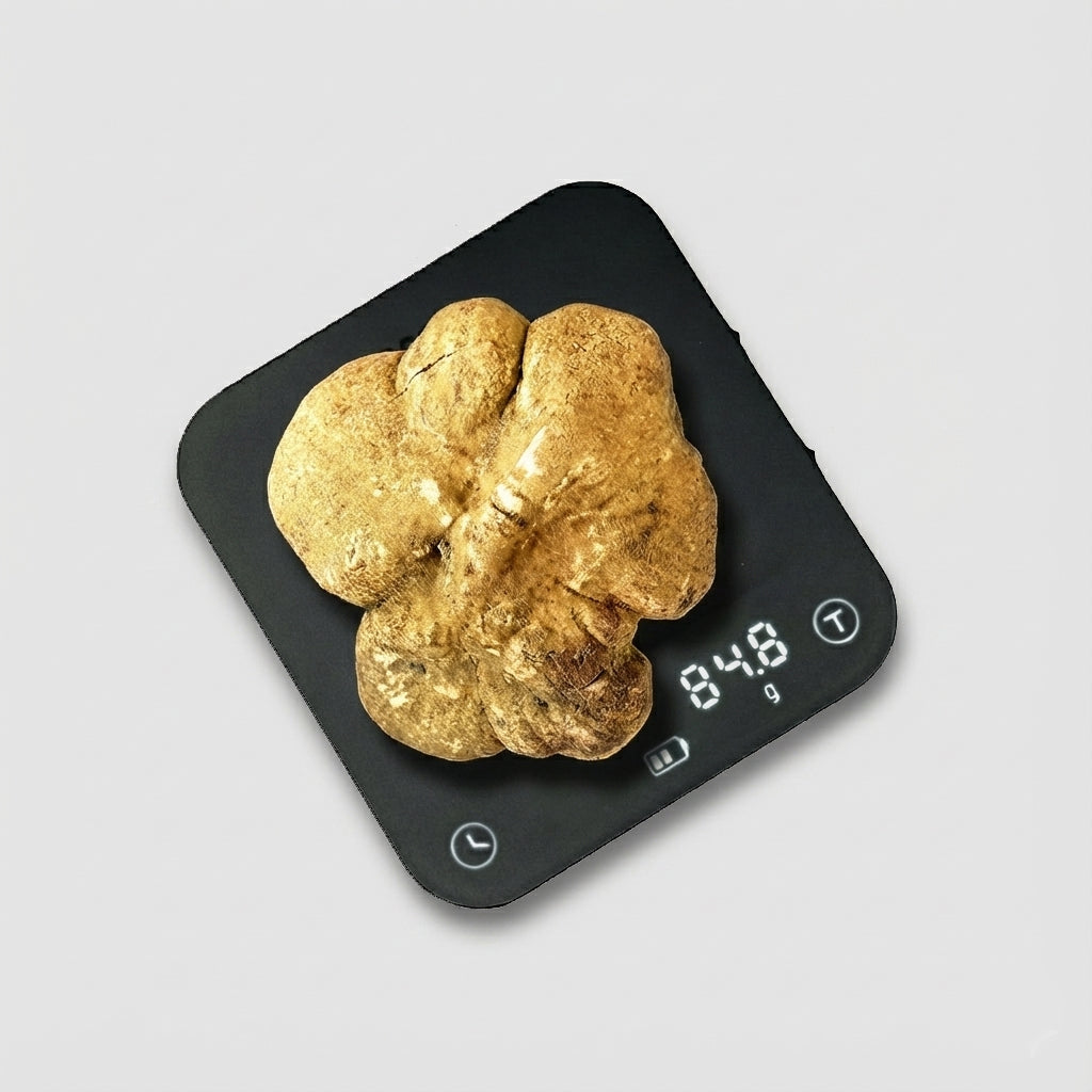 Tartufo Bianco d'Alba - 84 Grammi