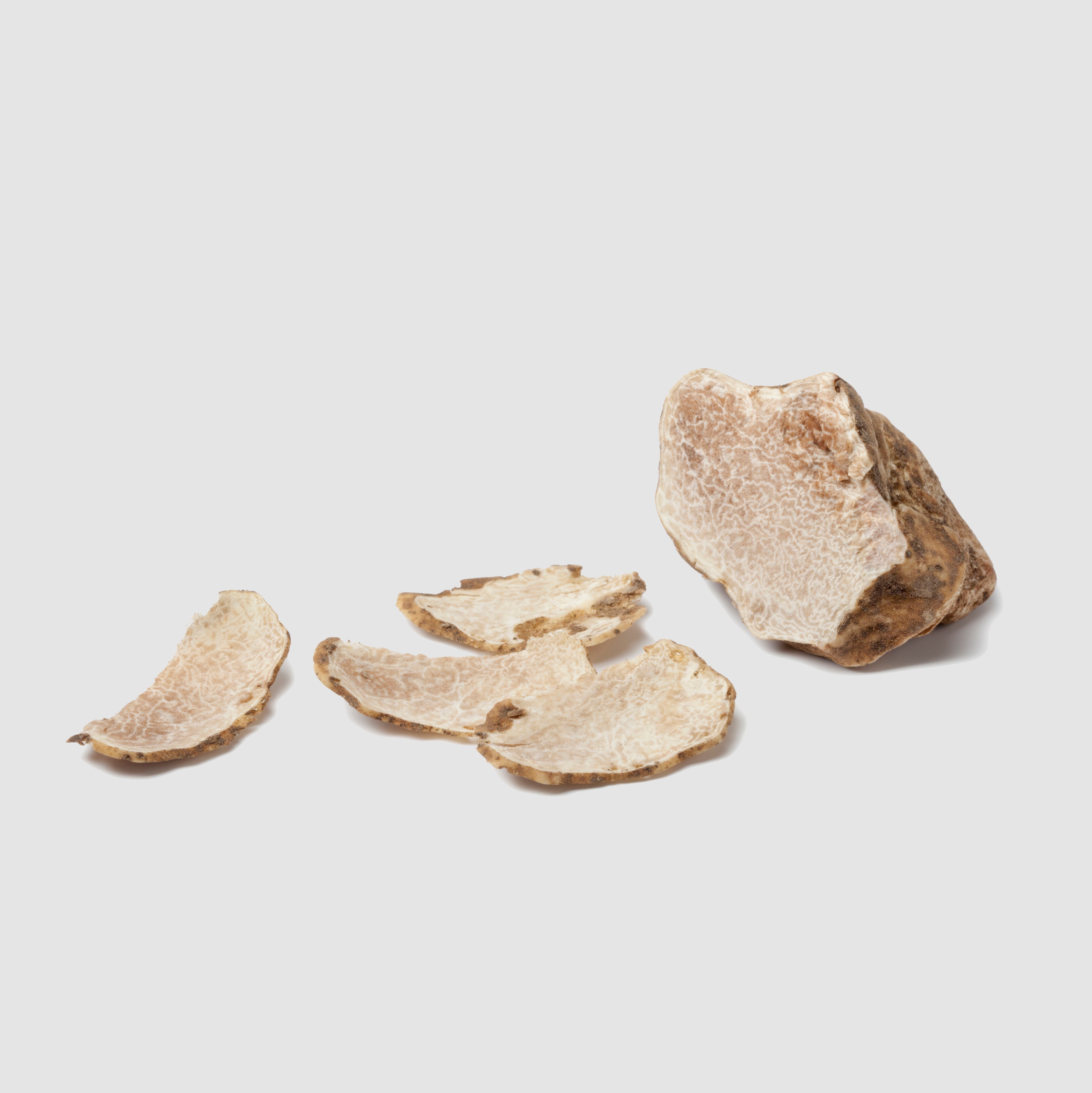 Tartufo Bianco d'Alba - Pezzatura 4/10