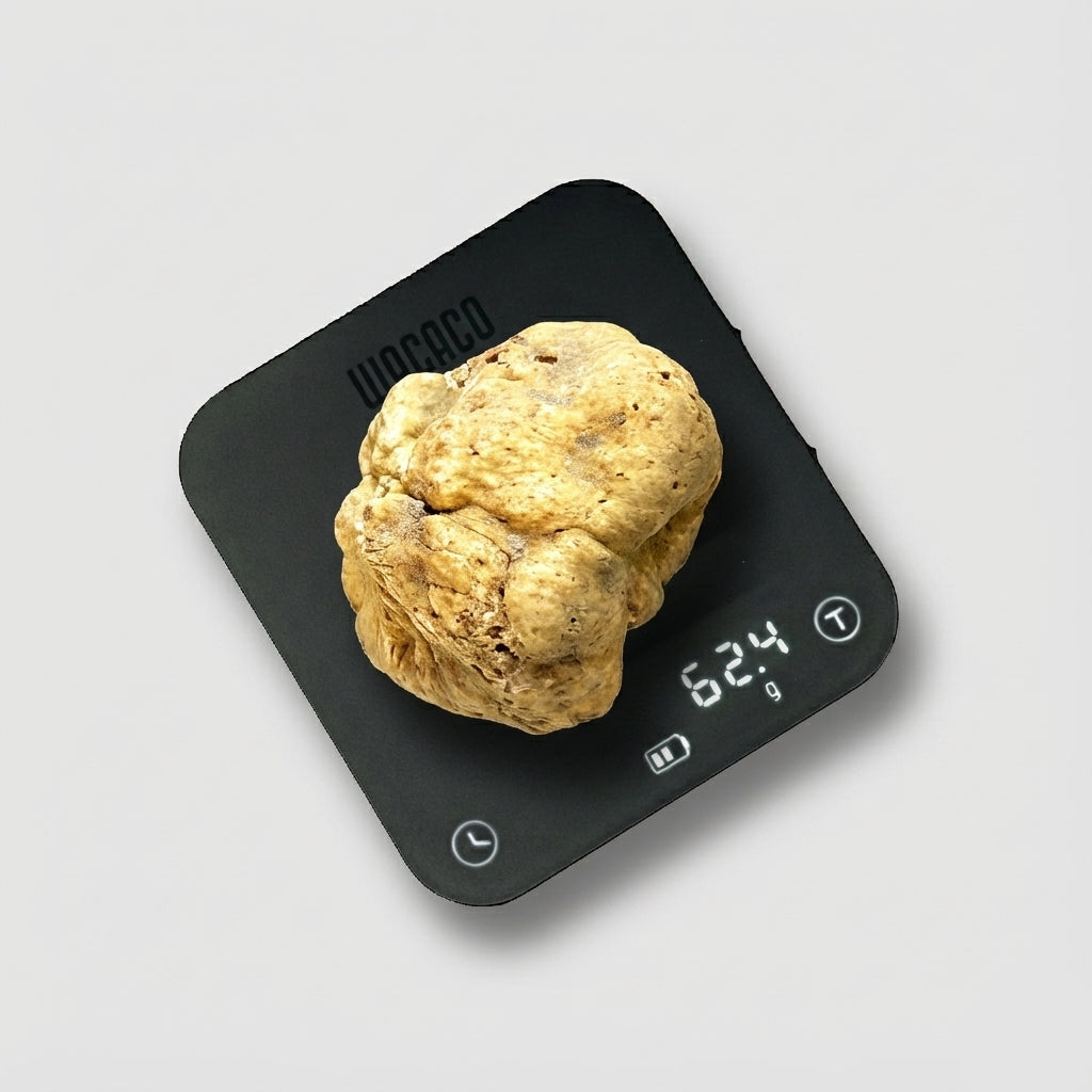 Tartufo Bianco d'Alba - 62 Grammi