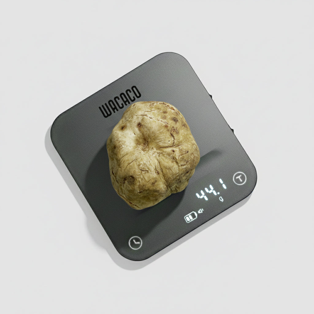 Tartufo Bianco d'Alba - 44 Grammi