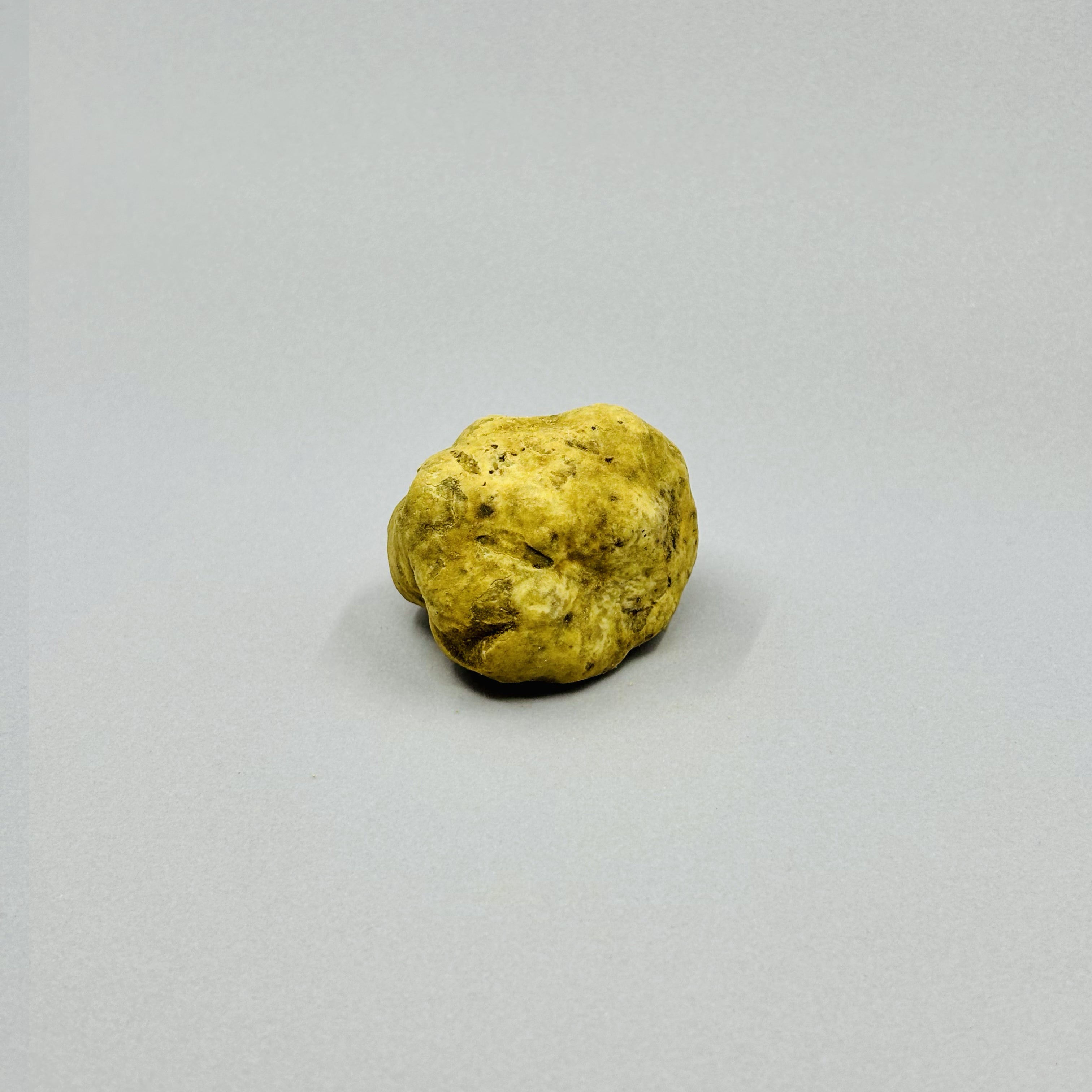 Tartufo Bianco d'Alba - Pezzatura 4/10
