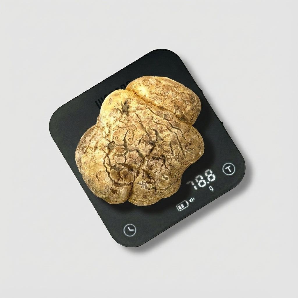 Tartufo Bianco d'Alba - 78 Grammi