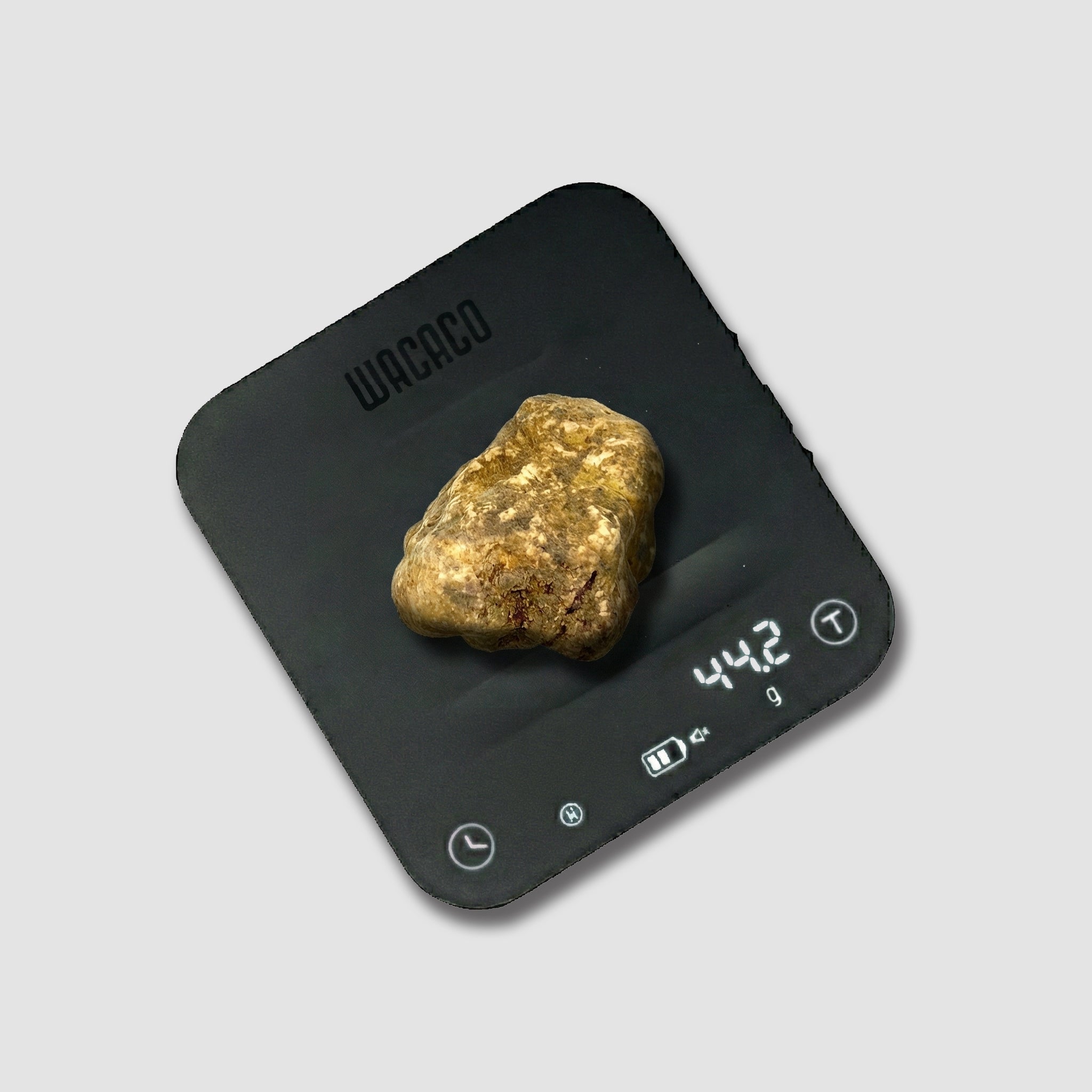 Tartufo Bianco d'Alba - 44 Grammi