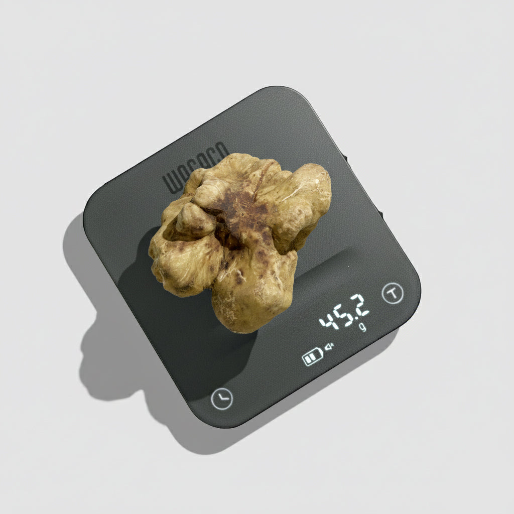 Tartufo Bianco d'Alba - 45 Grammi