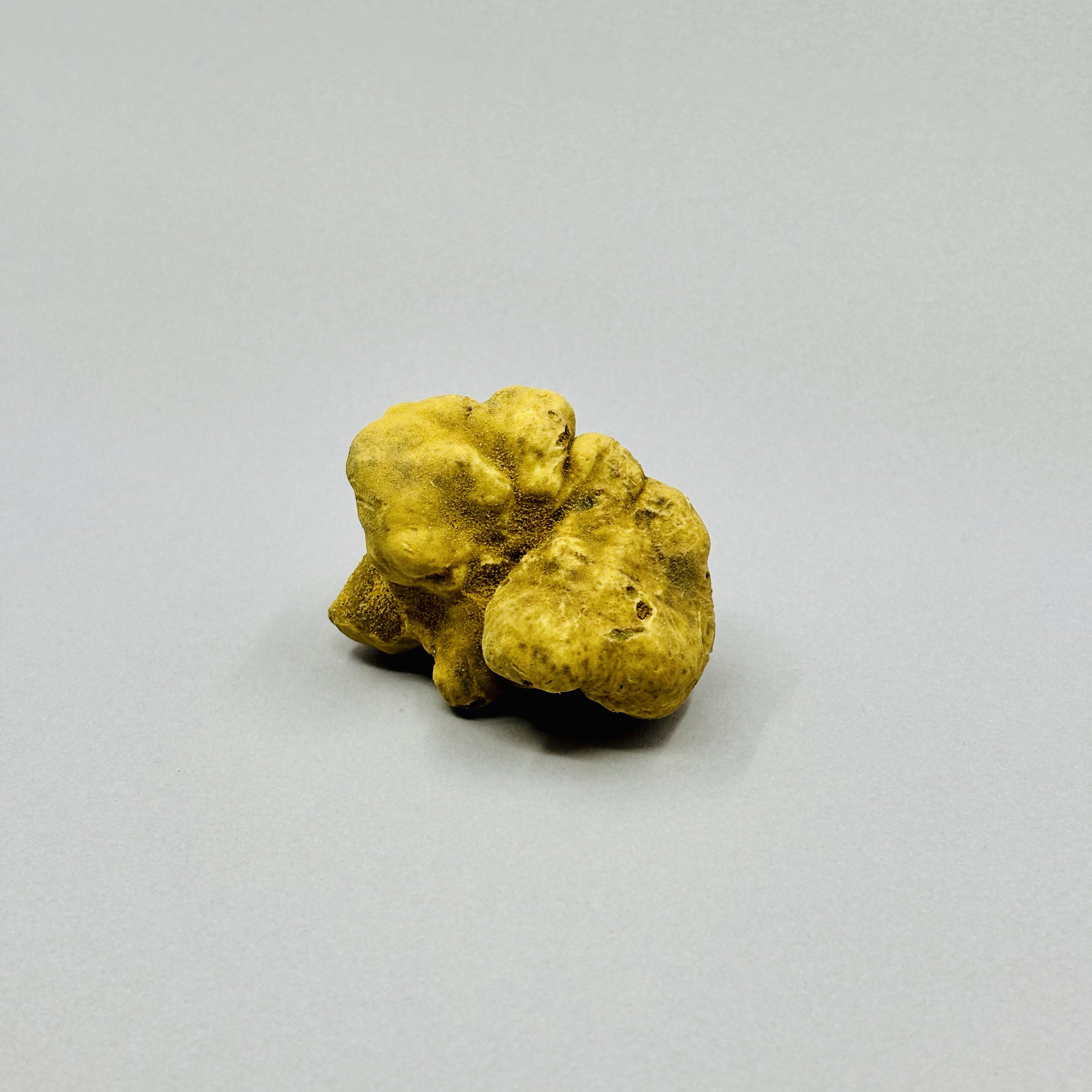 Tartufo Bianco d'Alba - Pezzatura 4/10