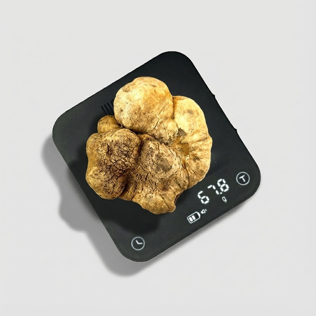 Tartufo Bianco d'Alba - 67 Grammi