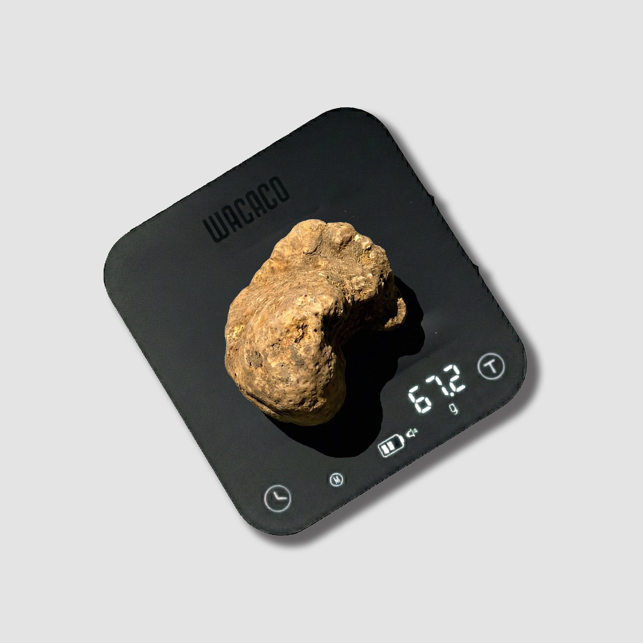 Tartufo Bianco d'Alba - 67 Grammi
