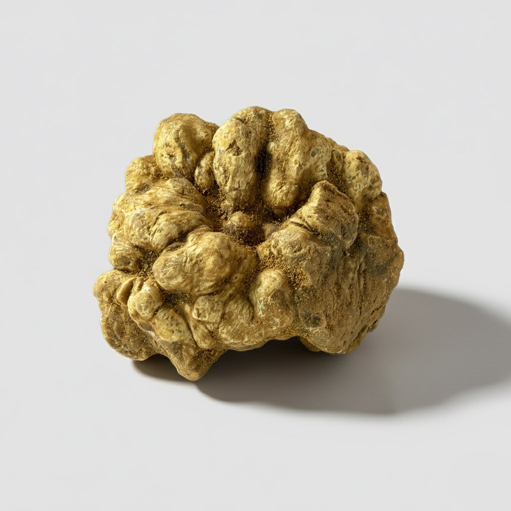 Tartufo Bianco d'Alba - Pezzatura 100 g