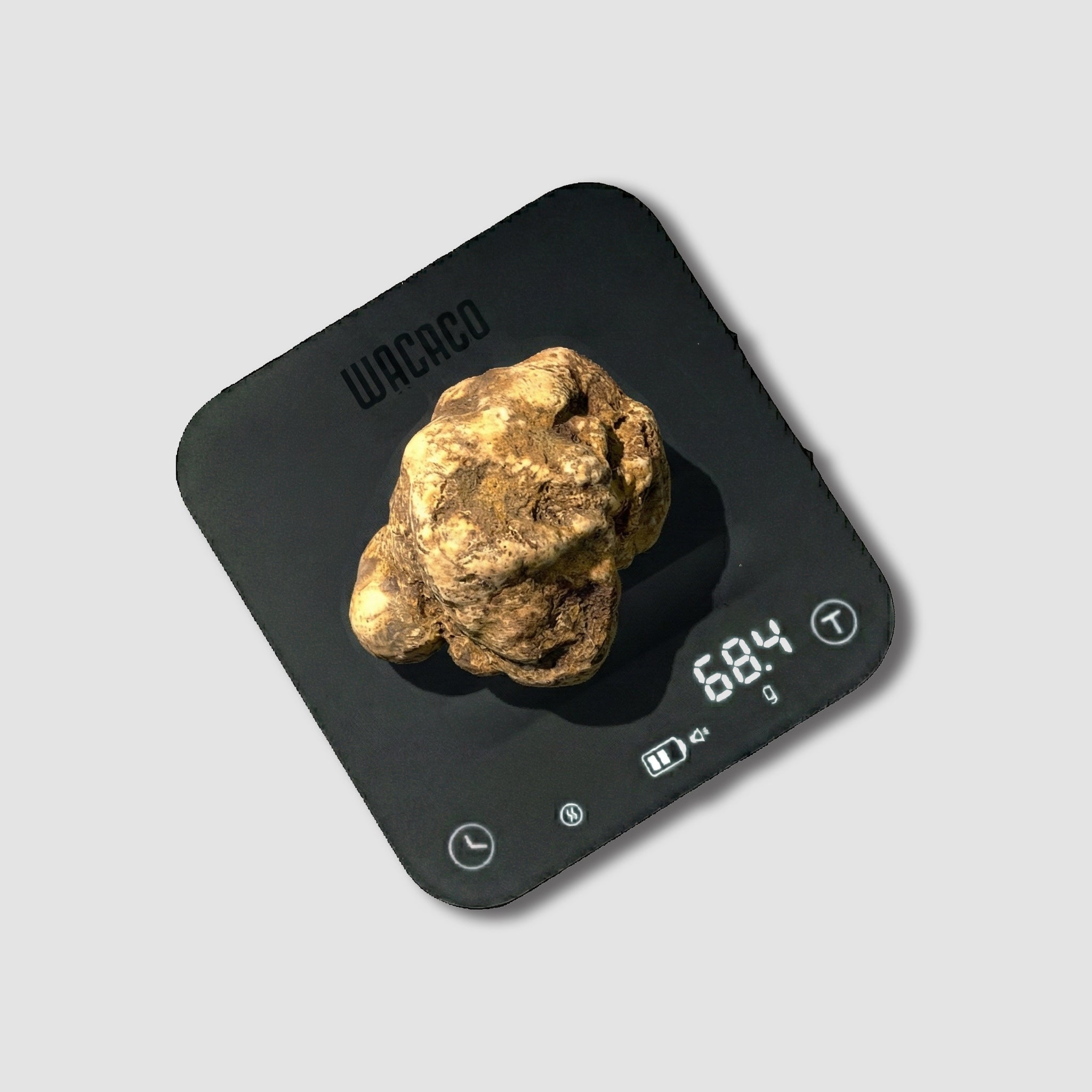 Tartufo Bianco d'Alba - 68 Grammi