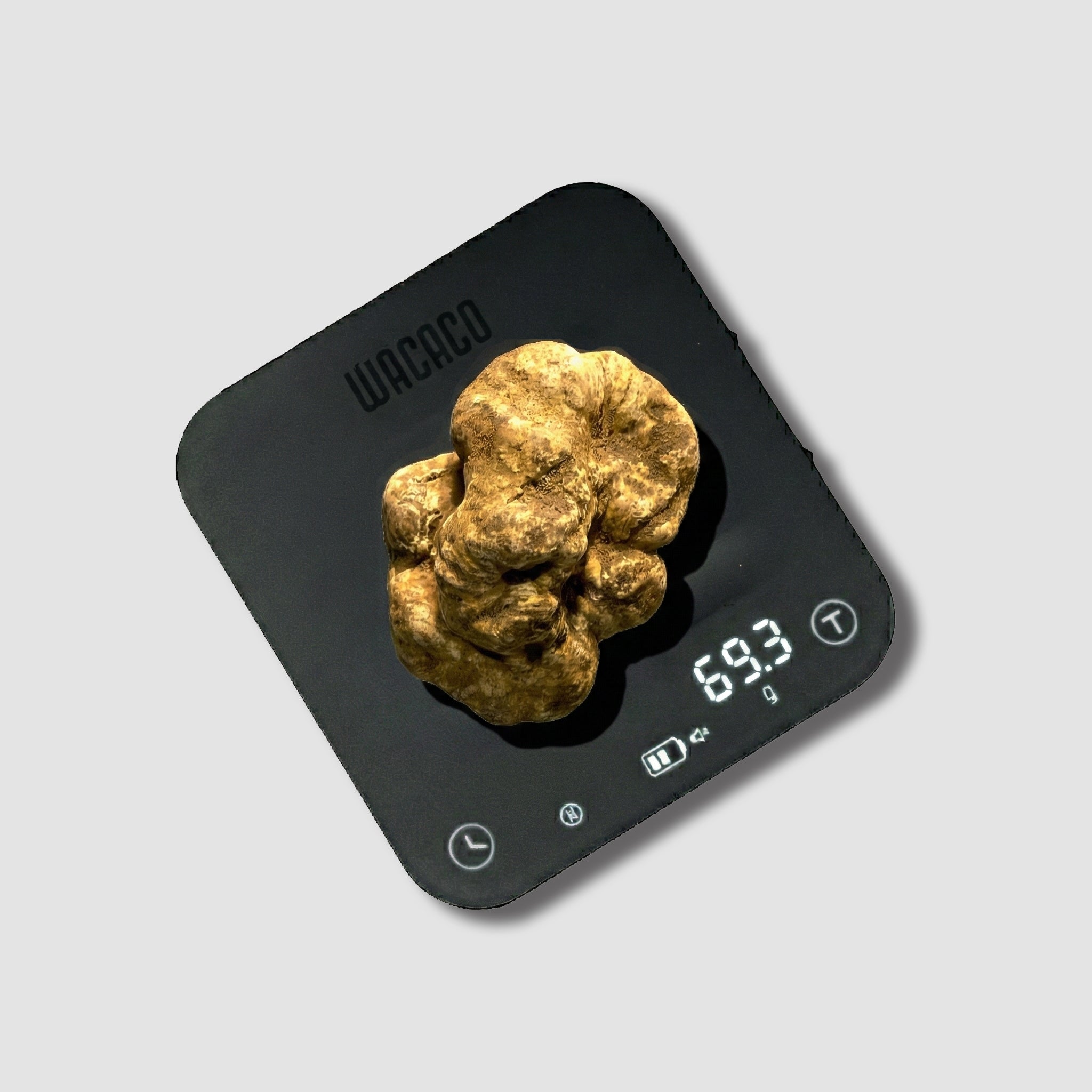 Tartufo Bianco d'Alba - 69 Grammi