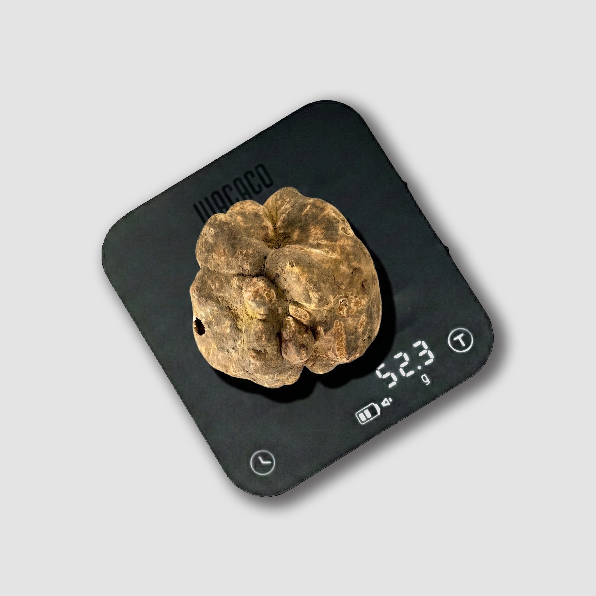 Tartufo Bianco d'Alba - 52 Grammi