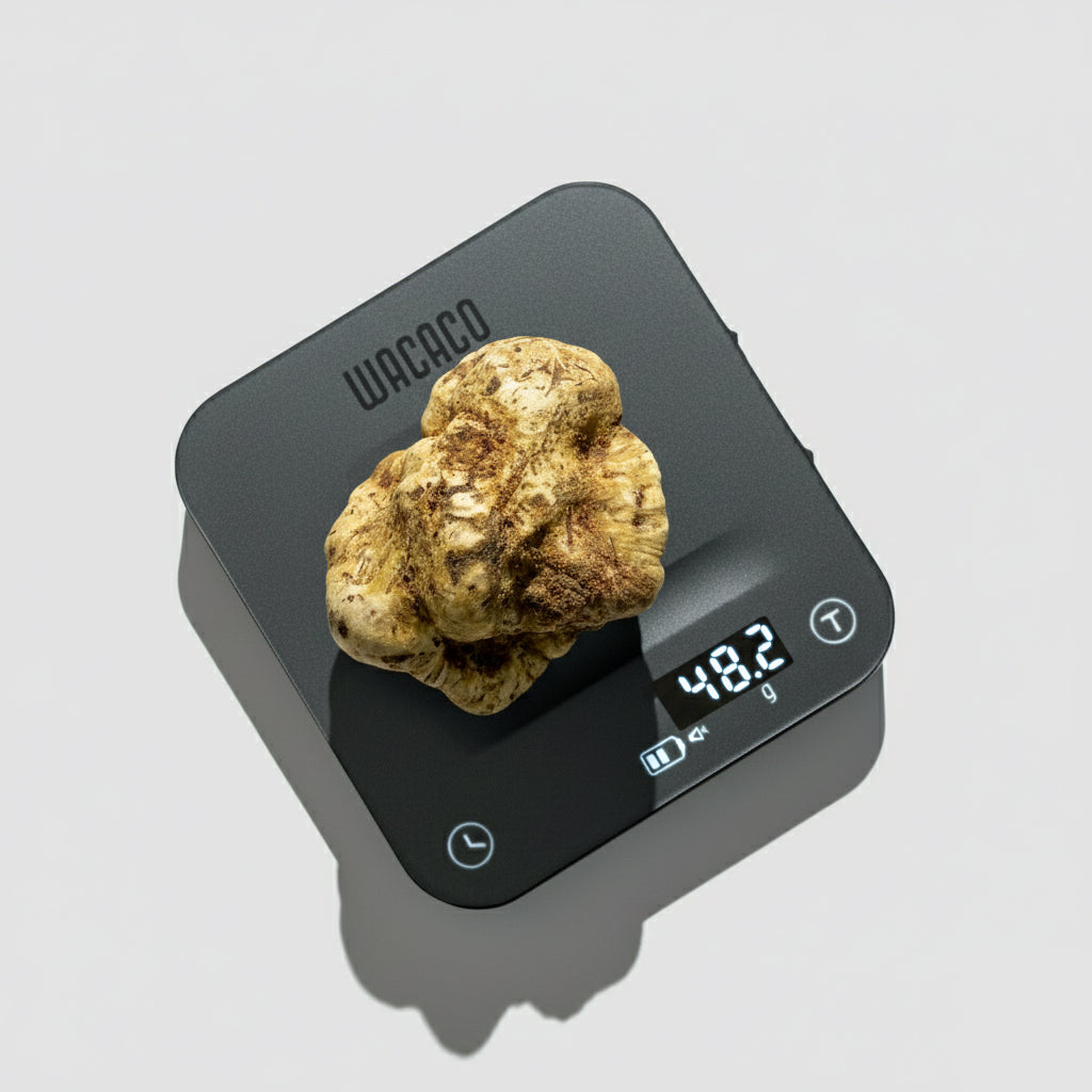 Tartufo Bianco d'Alba - 48 Grammi