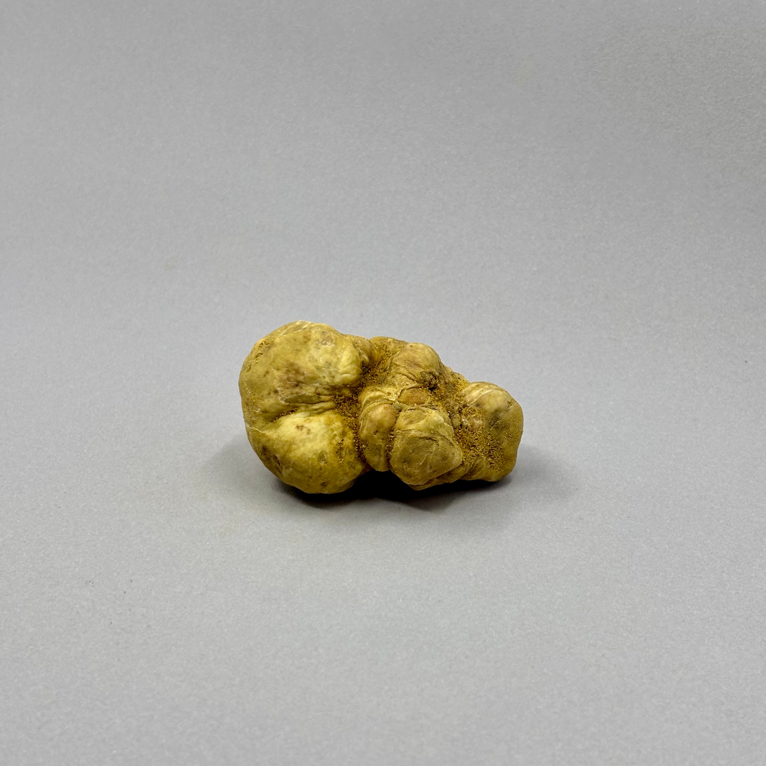 Tartufo Bianco d'Alba - 50 Grammi