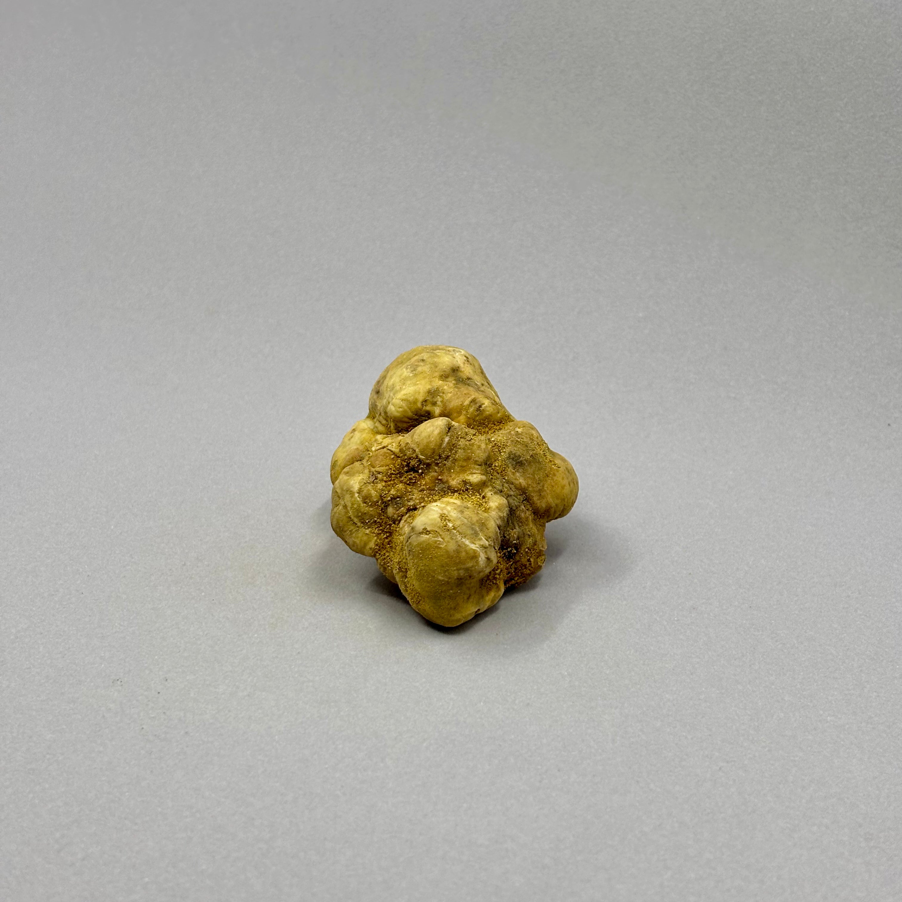 Tartufo Bianco d'Alba - 50 Grammi