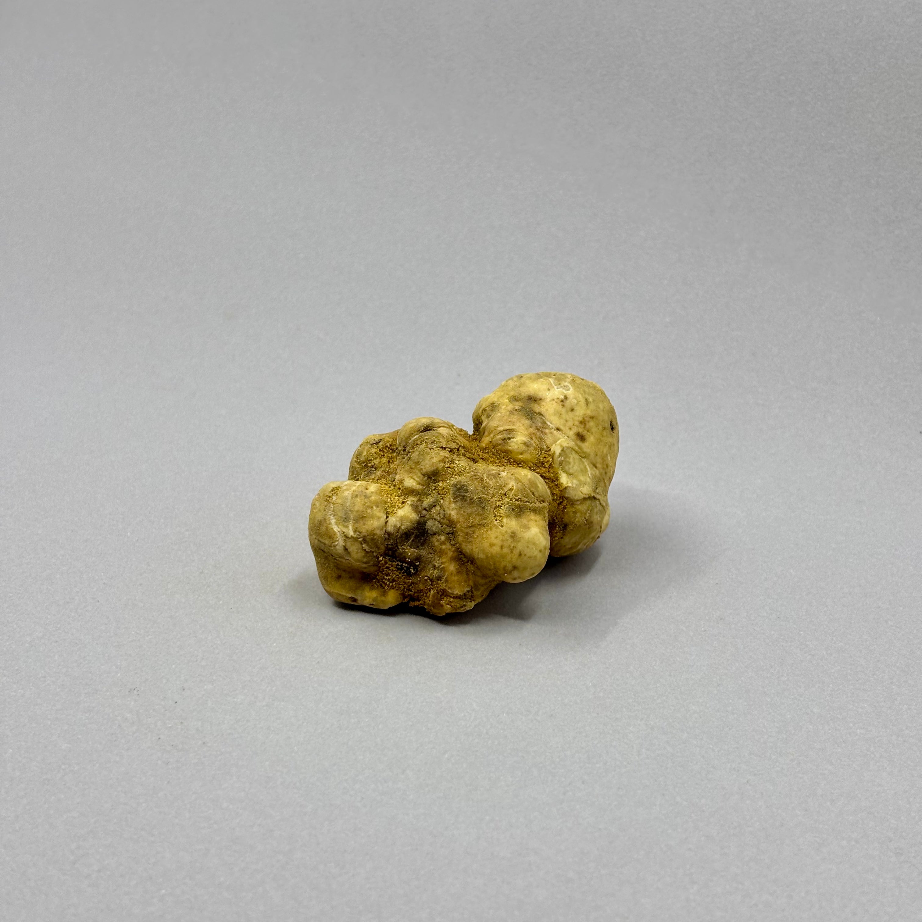 Tartufo Bianco d'Alba - 50 Grammi