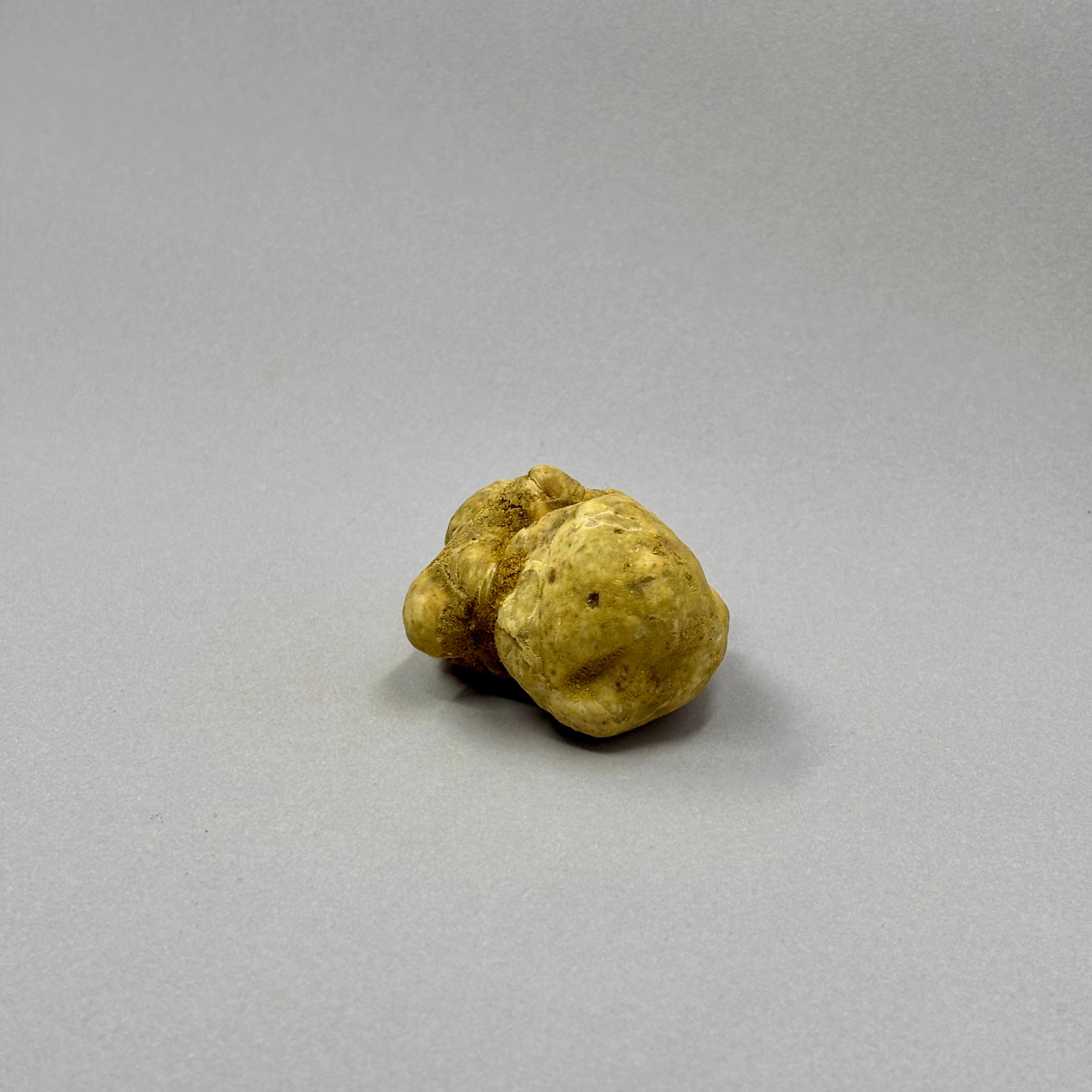 Tartufo Bianco d'Alba - 50 Grammi